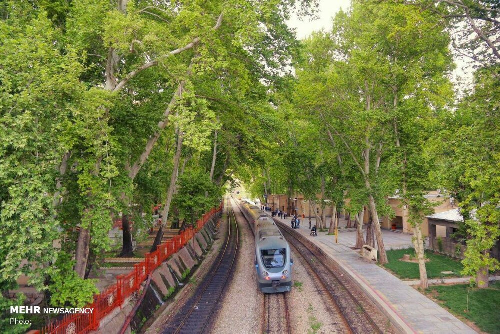 «بیشه» قصهٔ سنگ و زندگی؛ صدای این روستا را به جهان برسانیم!