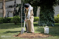 Leader plants trees on national tree planting day