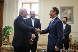 Zarif's meeting with Chinese deputy FM