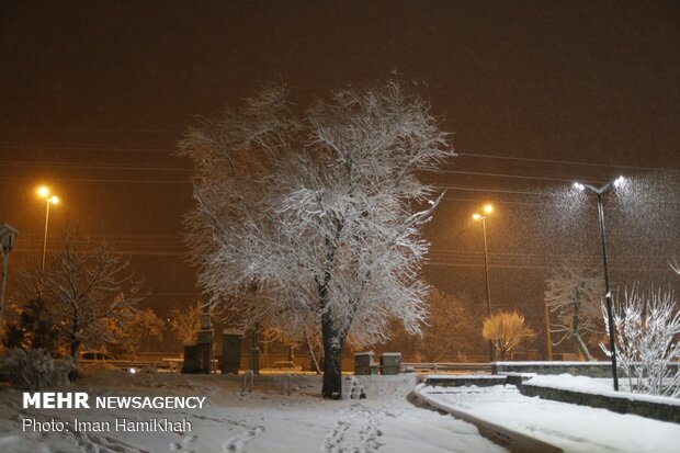 شب برفی همدان