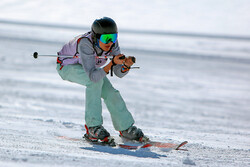 7th Fajr Ski and Snowboard Competition