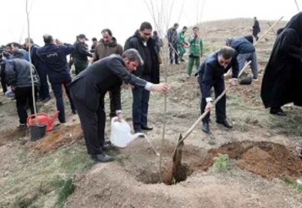 غرس ۱۵ هزار اصله نهال با یاد و نام شهدا در تهران