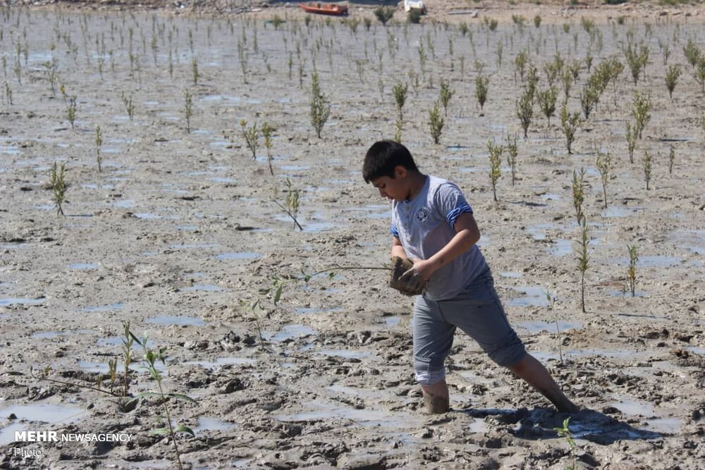 الگویی برای توسعه روستاها؛ سهیلی چرا و چگونه جهانی شد؟