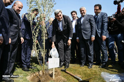 Officials, diplomats plant trees to highlight friendship and peace