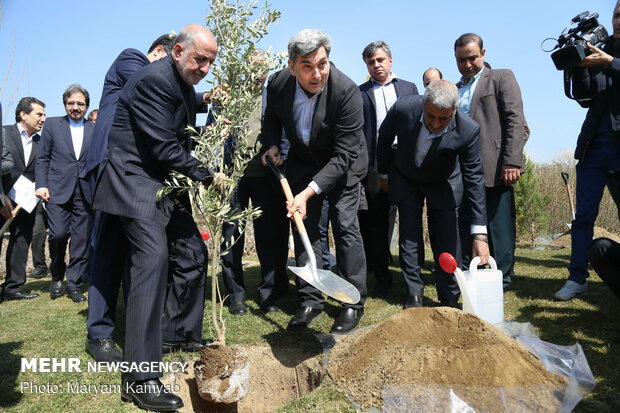 Envoys plant ‘peace and friendship’ trees in Tehran