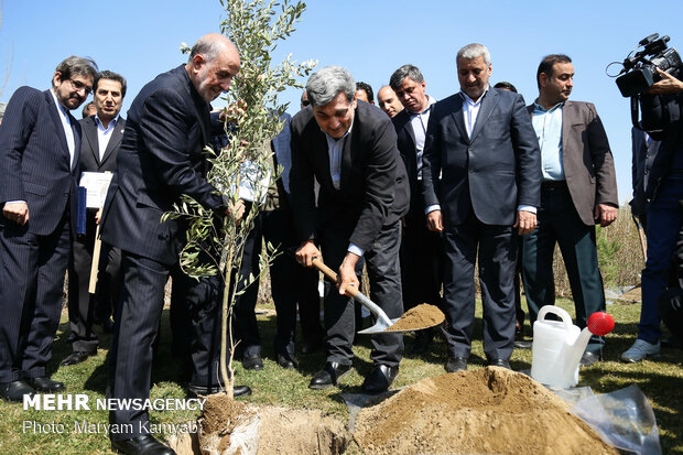 Envoys plant ‘peace and friendship’ trees in Tehran