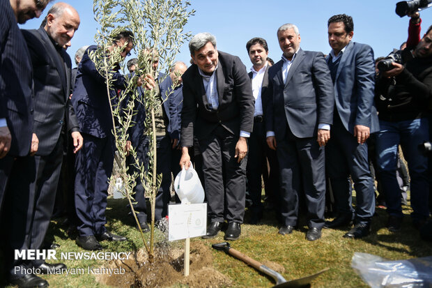 Envoys plant ‘peace and friendship’ trees in Tehran