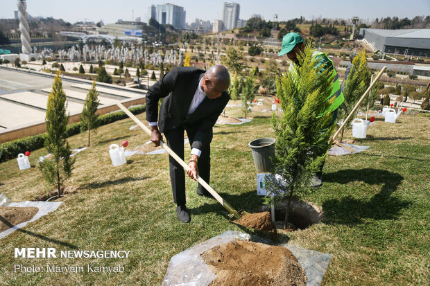 Envoys plant ‘peace and friendship’ trees in Tehran