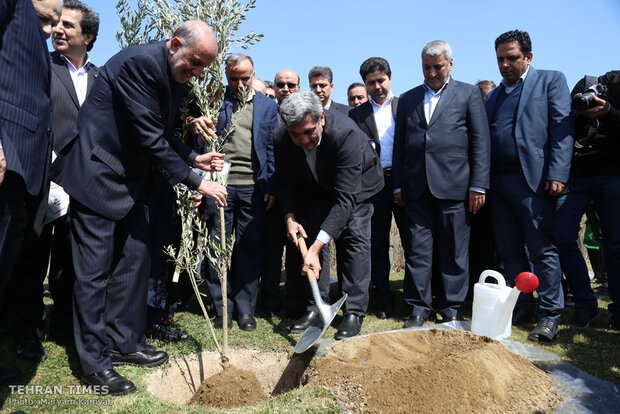  Iranian officials, diplomatic delegations plant trees as a sign of friendship and peace