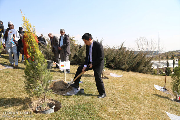  Iranian officials, diplomatic delegations plant trees as a sign of friendship and peace