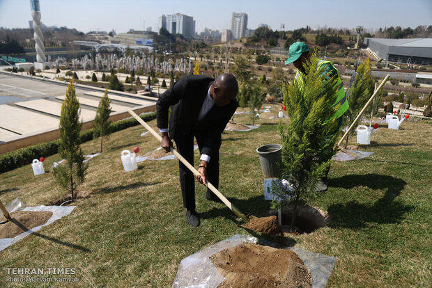  Iranian officials, diplomatic delegations plant trees as a sign of friendship and peace