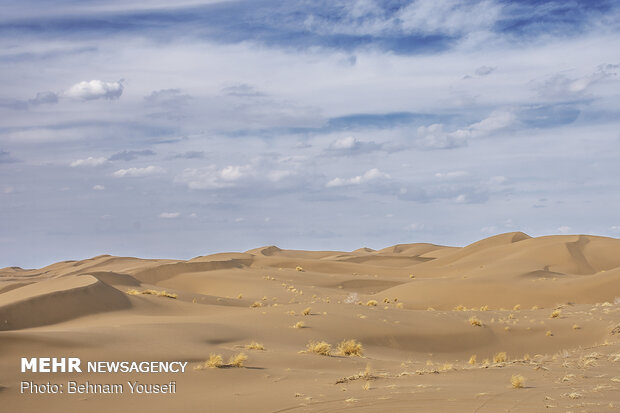 Maranjab Desert; a must-go in central Iran