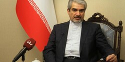 Rouhani likely to visit Syria soon: envoy
