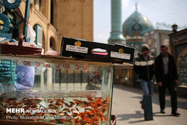 New Year shopping in Tajrish Bazaar
