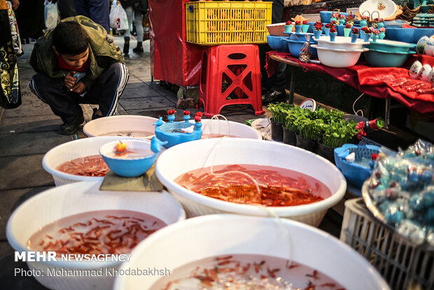 New Year shopping in Tajrish Bazaar
