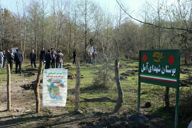 نخستین بوستان شهدا کشور در آمل افتتاح شد