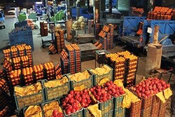 ۱۲۰۰ تن سیب و پرتقال برای تنظیم بازار شب عید هرمزگان