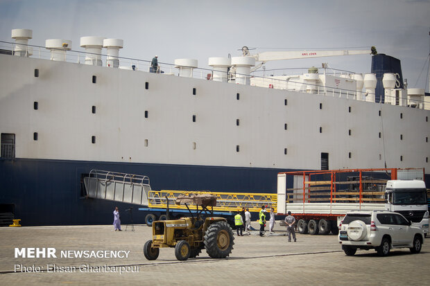 Iran's Chabahar Port unloads first livestock carrier
