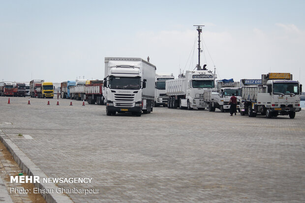 Iran's Chabahar Port unloads first livestock carrier
