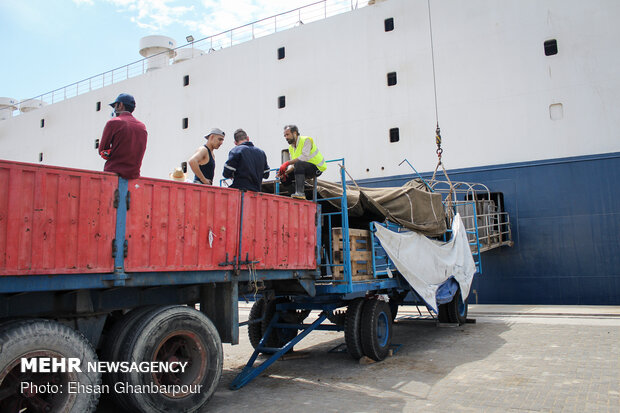 Iran's Chabahar Port unloads first livestock carrier
