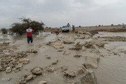 Flood responsible for 61% of natural disasters