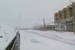 بارش برف محورهای اصلی و روستایی بروجرد را مسدود کرد