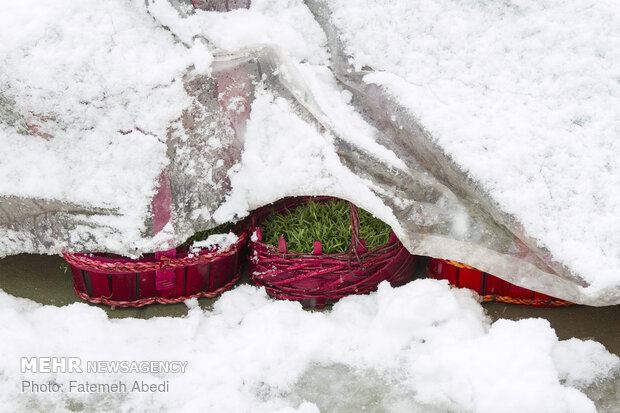 Nevruz alışverişi