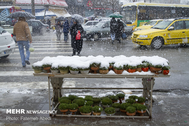 Nevruz alışverişi