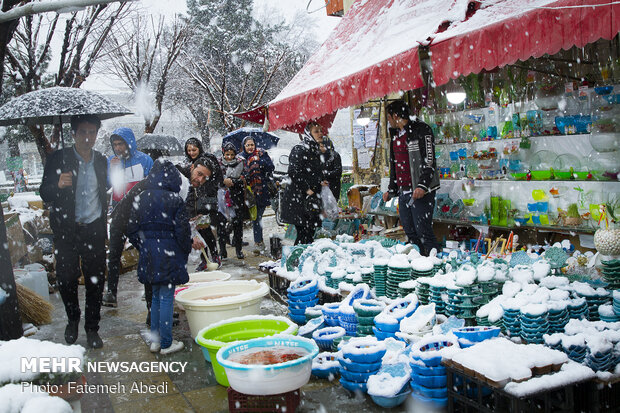 Nevruz alışverişi