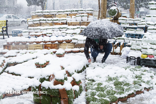 Nevruz alışverişi