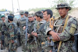 Dozens killed in clashes between Taliban and Afghan forces
