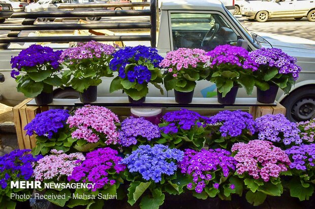 Nowruz shopping in northern city of Gorgan