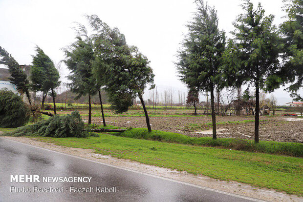 Flood damages in Golestan