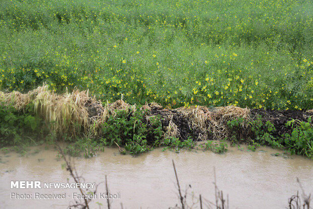 Flood damages in Golestan