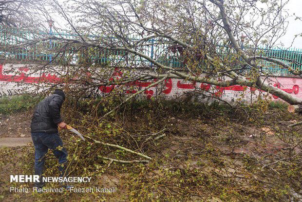 Flood damages in Golestan