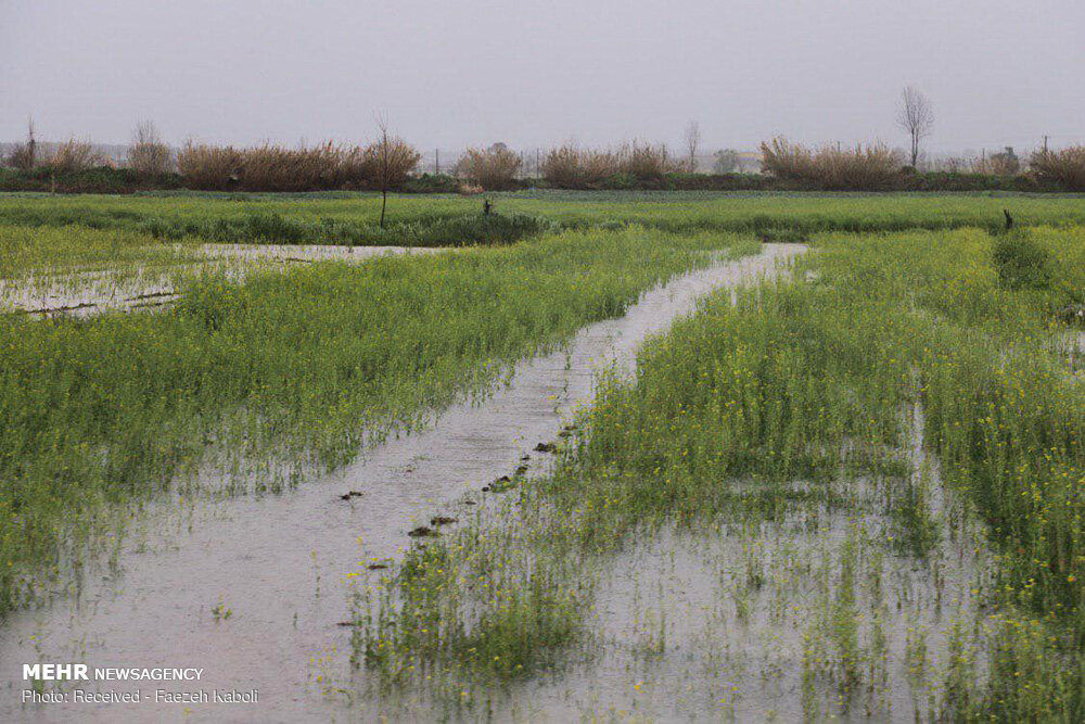 تخریب جاده‌های بین مزارع و عشایری شهرستان آبدانان بر اثر سیلاب