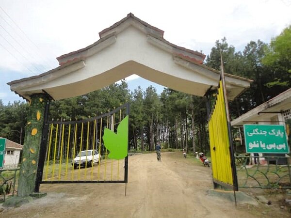 Bibi Yanlu forest park in Astara