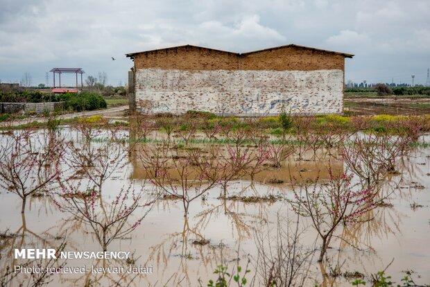 Flood damages in Mazandaran