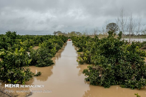 Flood damages in Mazandaran