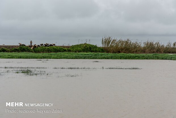 Flood damages in Mazandaran