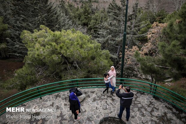 Tehran’s Jamshidieh Park on 1st day of spring