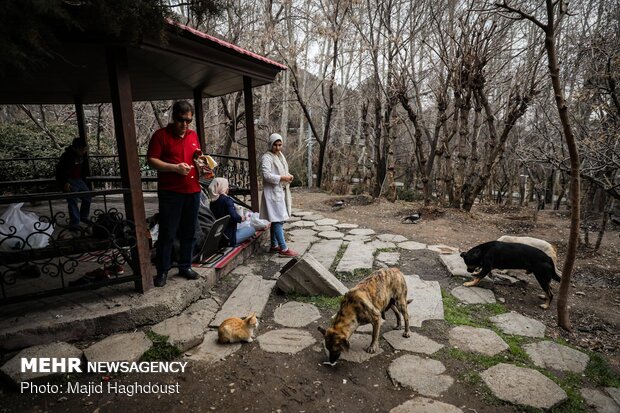 Tehran’s Jamshidieh Park on 1st day of spring