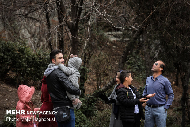 Tehran’s Jamshidieh Park on 1st day of spring