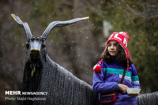 Tehran’s Jamshidieh Park on 1st day of spring