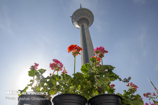 Tahran'da temiz hava