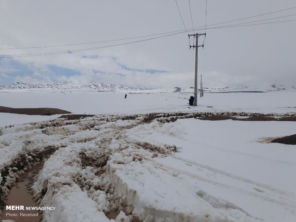 خاموشی های اخیر در روستاهای گیرافتاده در برف اردبیل رفع شد