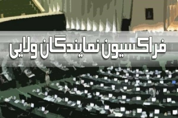 فراکسیون ولایی مجلس خواستار بسیج همگانی برای رفع بحران شد