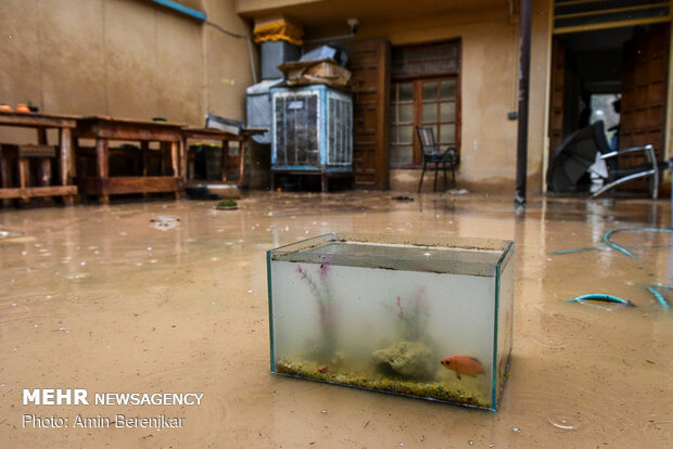 Devastating flash flood in 'Darwazeh Quran', Shiraz