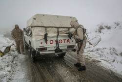 سووتەمەنی پێویستی ١٠ هەزار بنەماڵە لە گوندەکانی کوردستان دابین کراوە