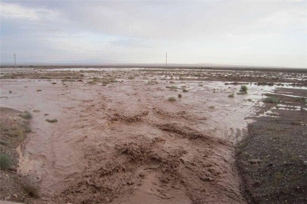 وقوع سیل در روستای حسین آباد لردگان/ دام ها تلف شدند